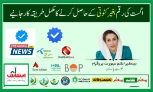 How to Receive Full BISP Payment Without Deductions in 2025 | BISP 8171 Guide