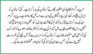 CM Punjab Wheat Support Program 