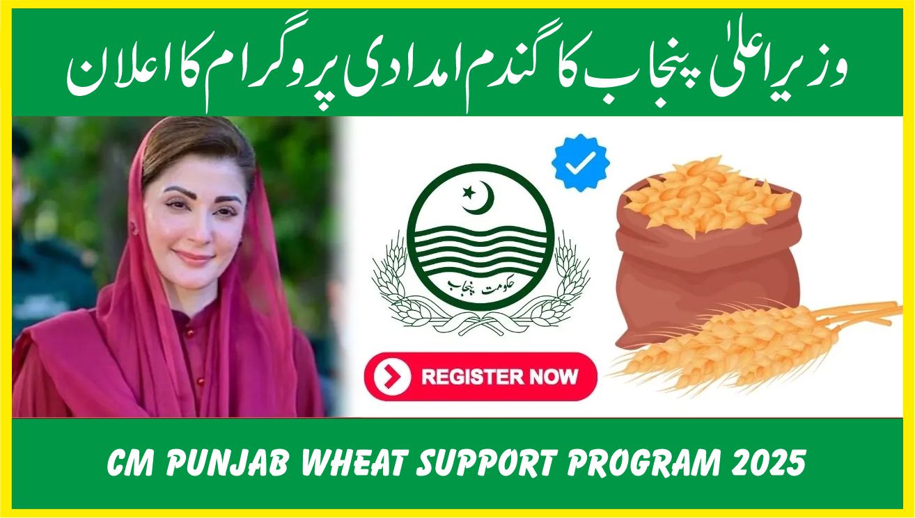 Eligibility Criteria For CM Punjab Wheat Support Program Payment Know Complete Details