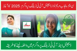 Maryam Nawaz Digital Skills