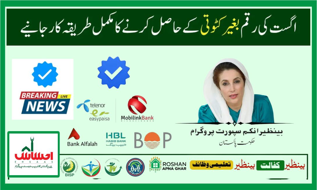 How to Receive Full BISP Payment Without Deductions in 2025 | BISP 8171 Guide